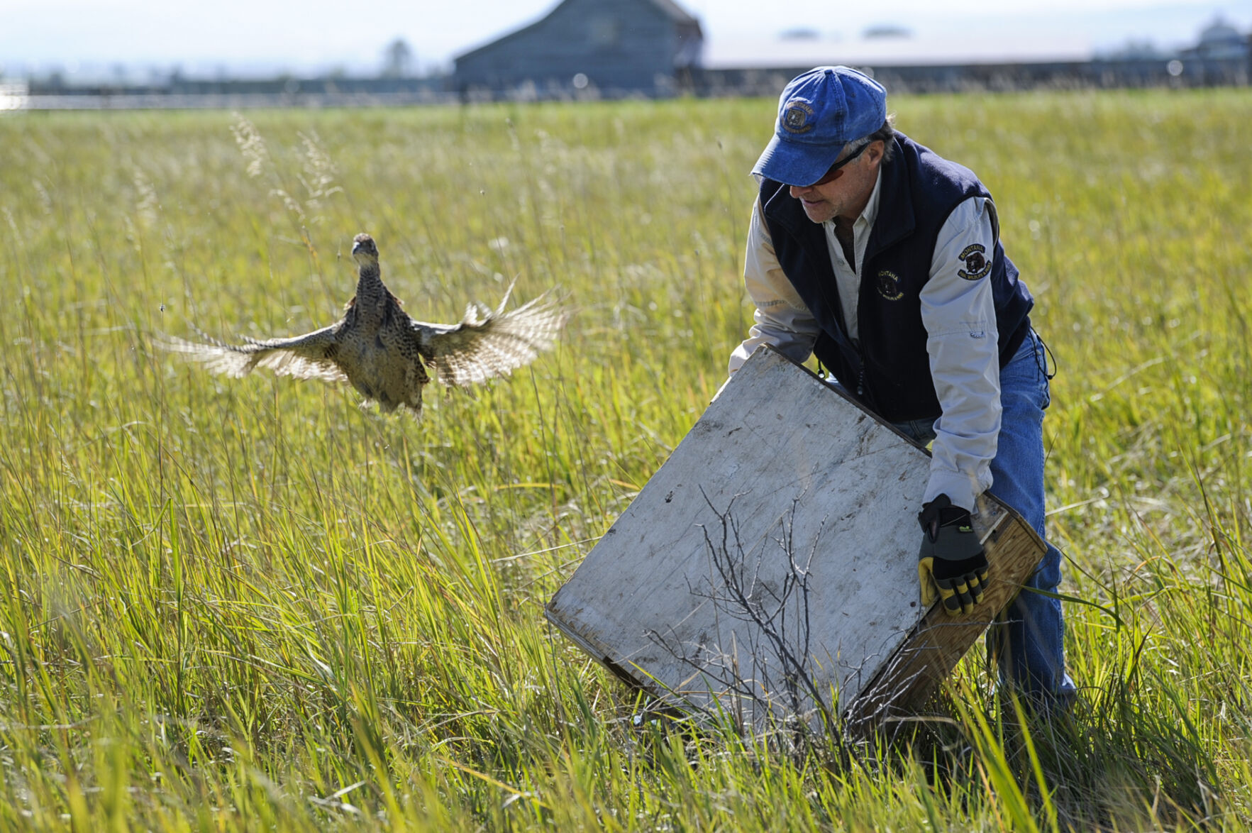 Montana Fish, Wildlife and Parks biologist Adam Grove